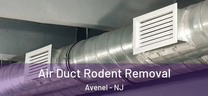  Air Duct Rodent Removal Avenel - NJ