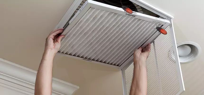Preventive Cockroach-Proofing for Ducts in Avenel