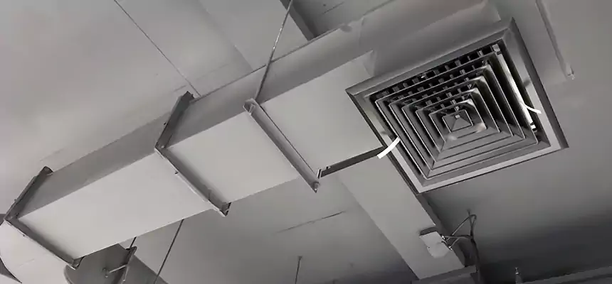 Restorative Allergy Relief Vent Cleaning – Coil, Blower & Housing Detail in Avenel