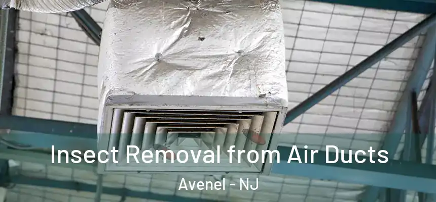 Insect Removal from Air Ducts Avenel - NJ
