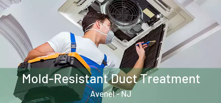  Mold-Resistant Duct Treatment Avenel - NJ