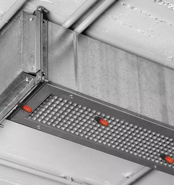 About Air Duct Cockroach Removal in Avenel, NJ