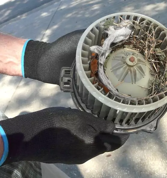 About Air Duct Rat Removal in Avenel, NJ