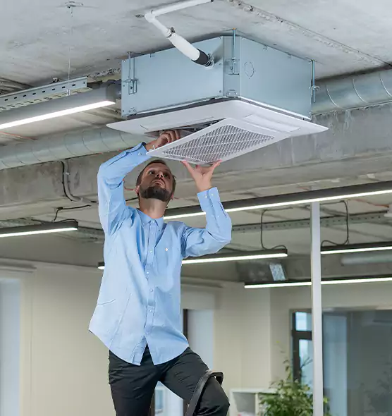 Advanced Rodent Droppings In Vents in Avenel, NJ