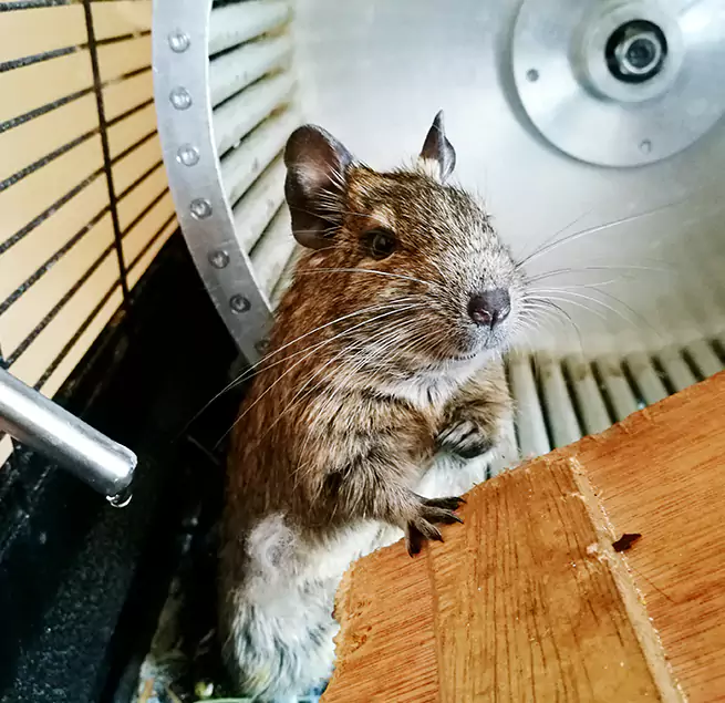 Why Homeowners & Businesses Trust Us Avenel, NJ?